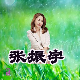 张振宇